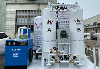 Details of pressure swing adsorption PSA oxygen generator